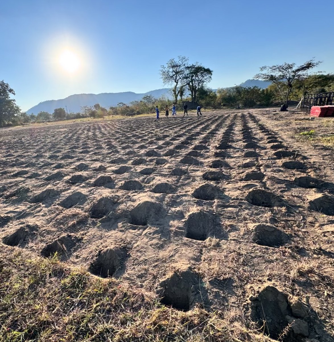 A field being prepared with rows of planting mounds at sunrise, mountains behind, as a small team walks the land on a journey.